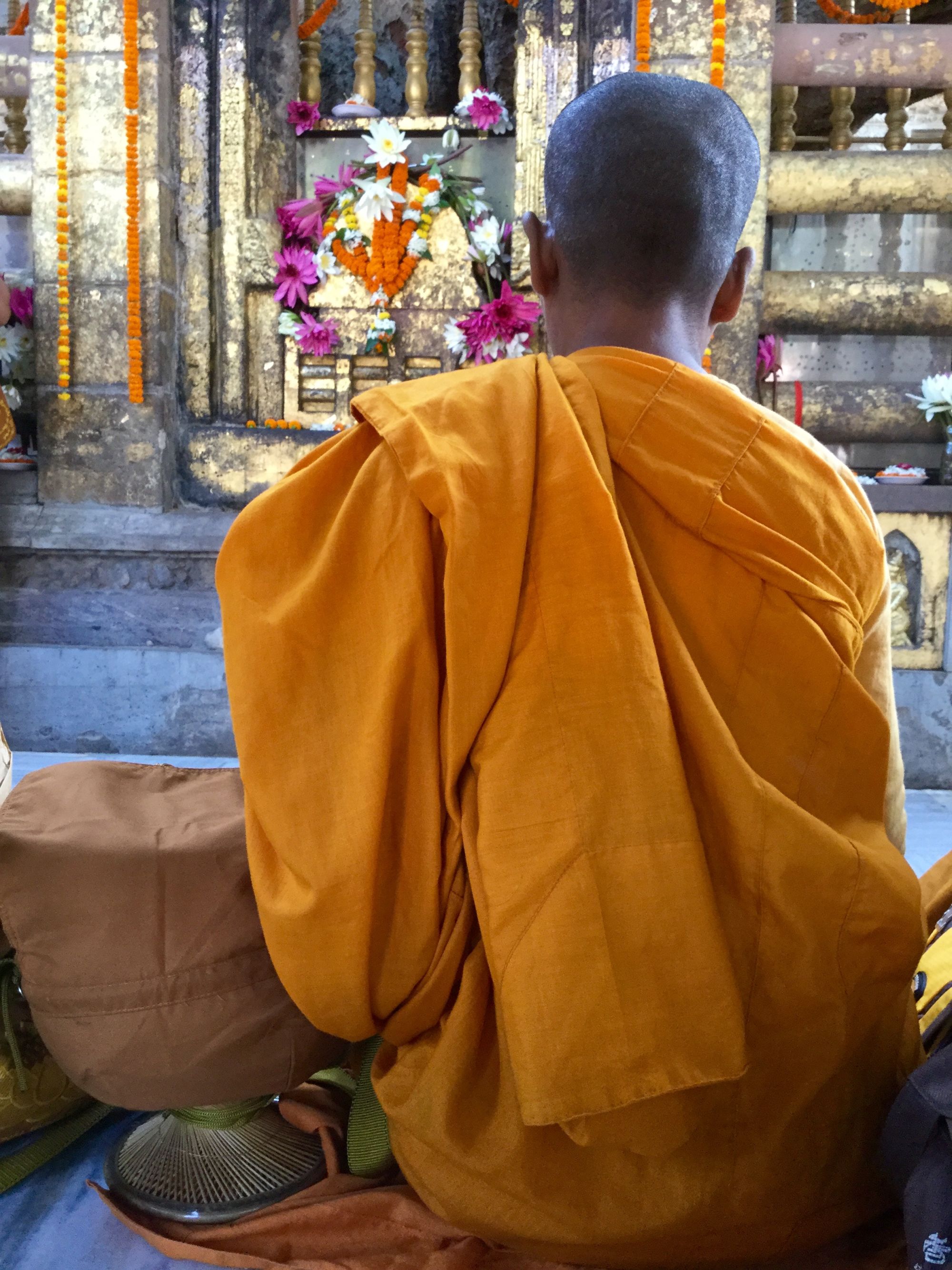 Monk meditating under the bodhi tree, Bodhgaya. (Photo Ven Sarah Thresher)