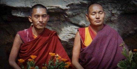 The lamas (Image Piero Sirianni)