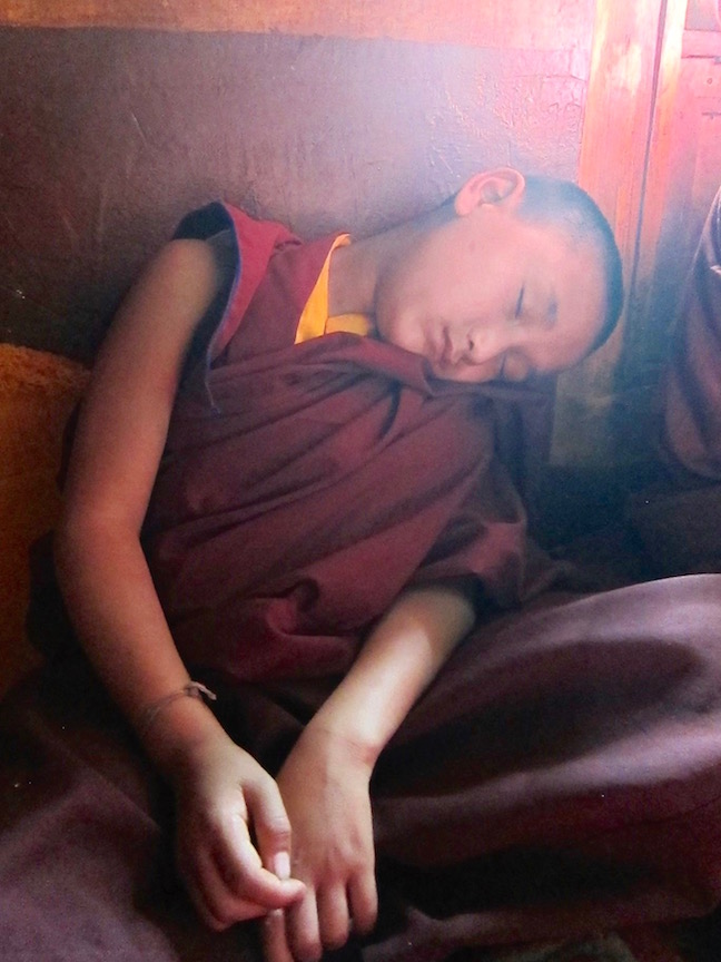  (Photo Ven Sarah Thresher)